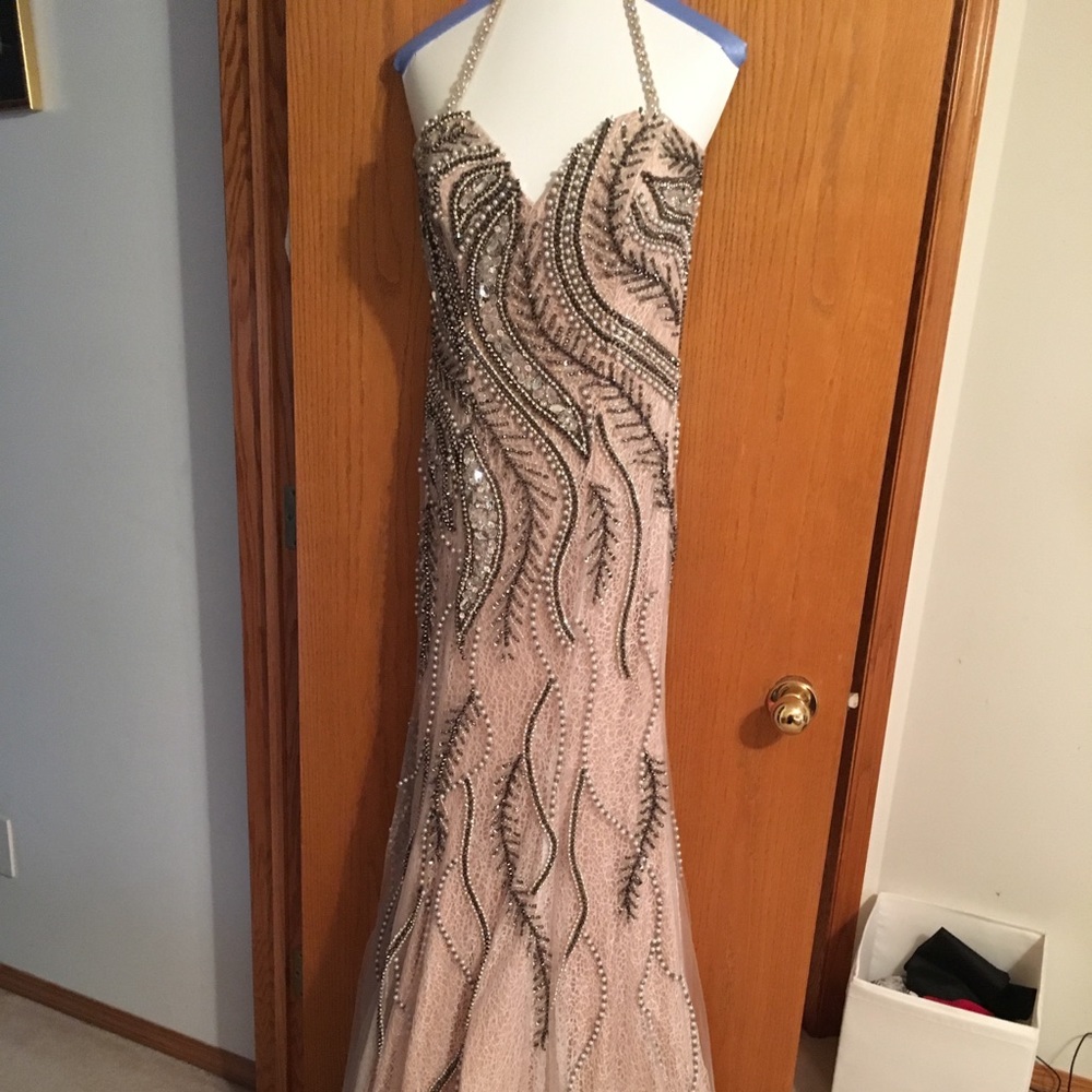 Terani Evening Gown